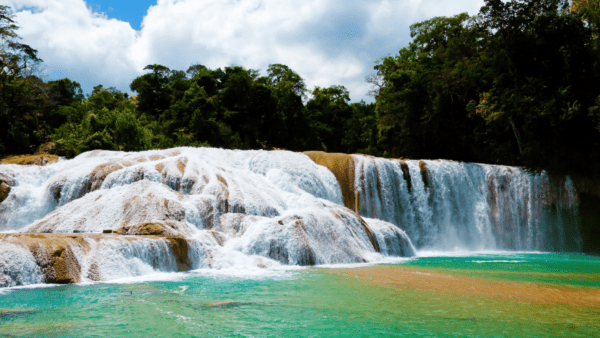 Tour Chiapas Cascada de Agua Azul Kukulik 4.5