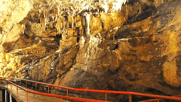 Tour Chiapas Grutas de Rancho Nuevo Kukulik 5.1