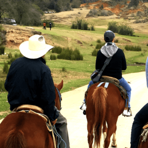 Paseo a Caballo