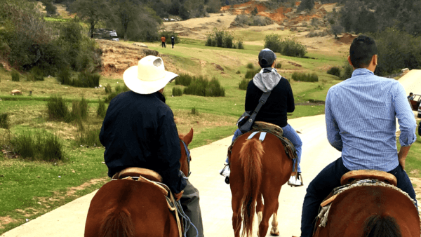 Paseo a Caballo